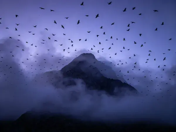山地景观上空飞鸟群景象
