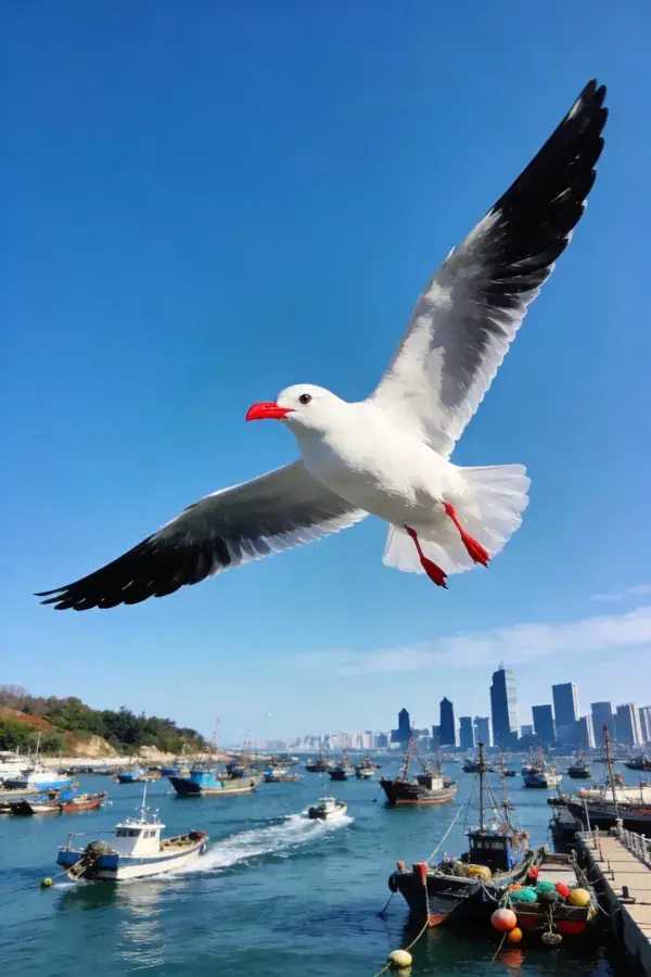 红嘴鸥飞过渔港城市景观