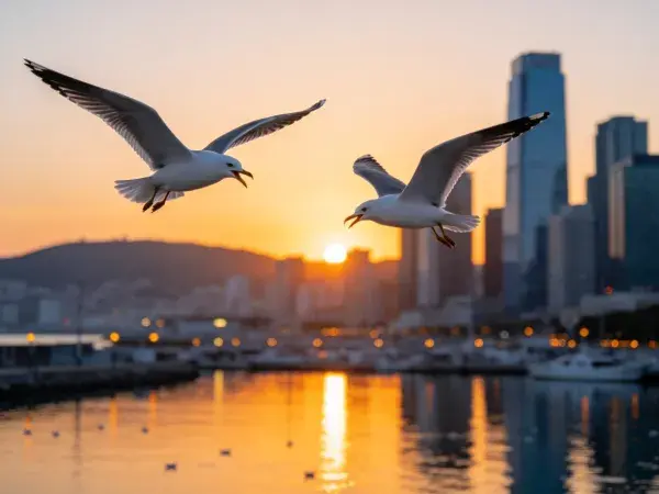 城市港湾上空的海鸥飞行景象