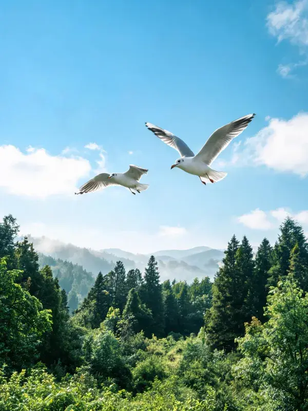银鸥飞翔于山林间景观图