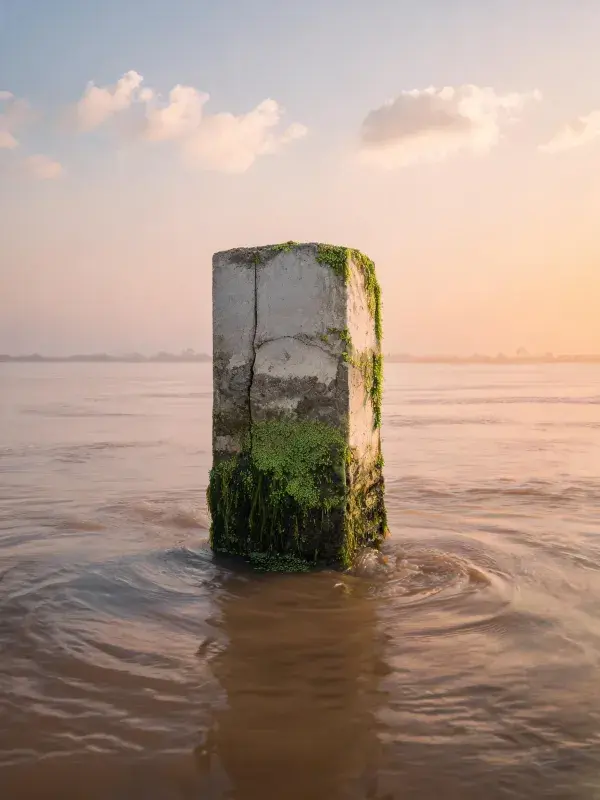 混凝土防波桩伫立在水域中