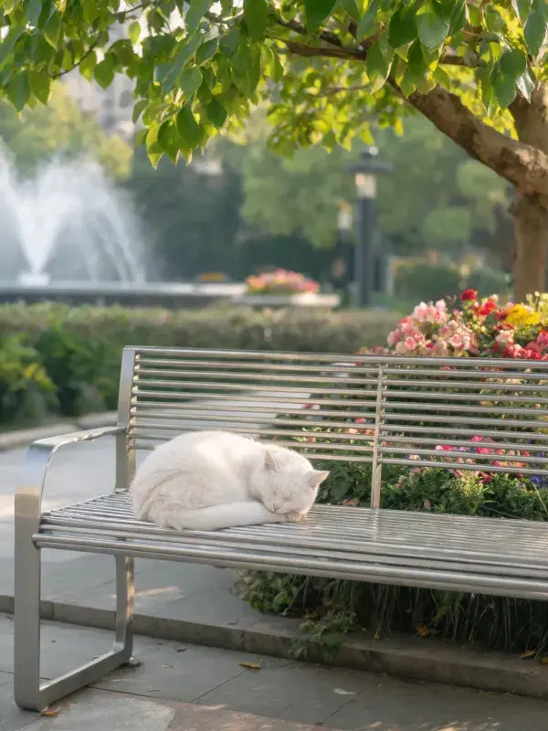 阳光下公园长椅上的短毛家猫休憩图景