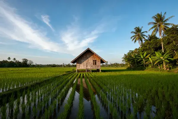 东南亚传统高架木屋场景
