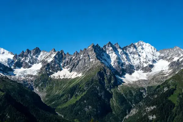 雪山峡谷地貌与森林景观