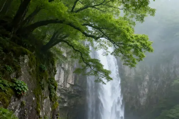 瀑布周边森林景观特写