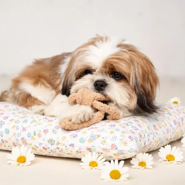 西施犬安静趴卧,口中叼着浅棕色毛绒玩具,周围散落着白色雏菊。