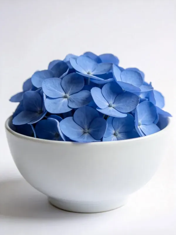 白色碗具中蓝色绣球花的特写