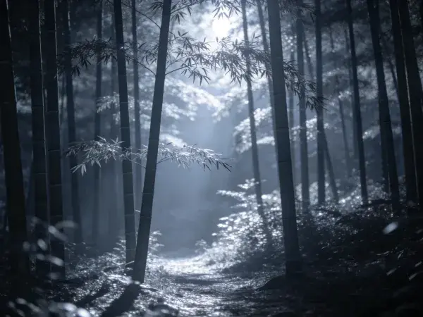 竹林晨光雾气朦胧场景