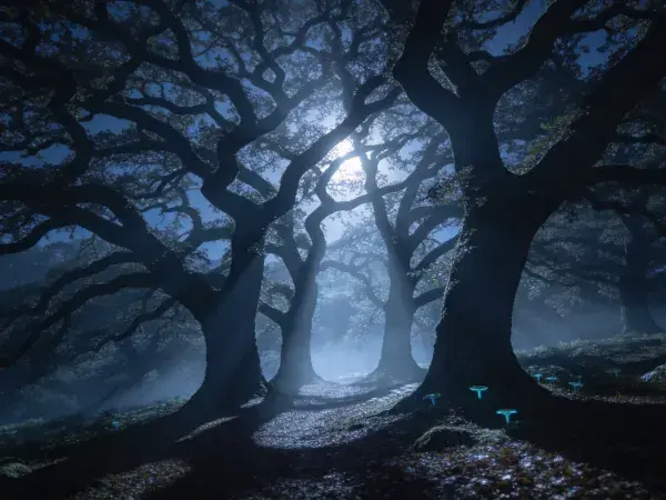 古老橡树林月夜幽径场景