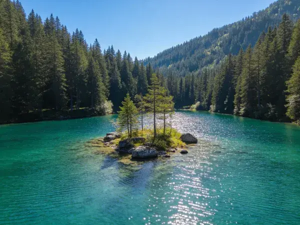 森林湖泊中心小岛景观