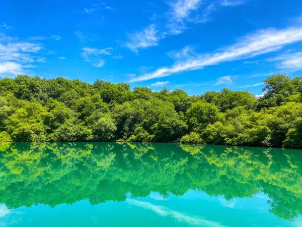 森林环抱清澈湖景风光
