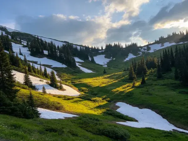 高山雪地草甸森林景观