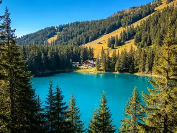 高山森林湖泊聚落景观