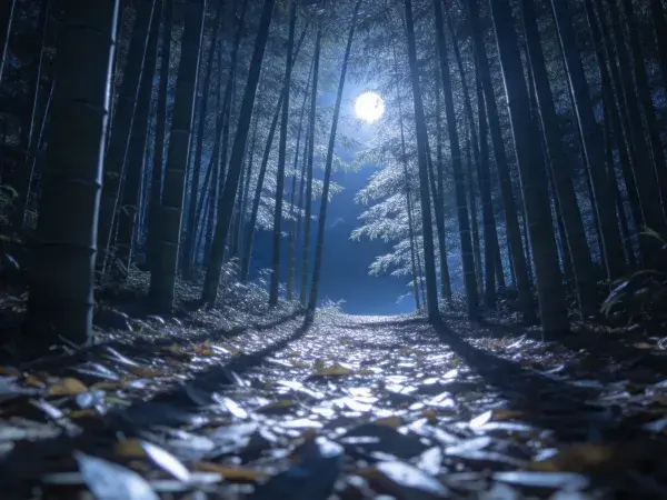 月光穿透竹林夜色场景