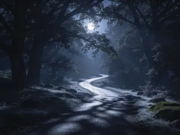 阴暗神秘古老橡树林夜景场景