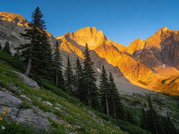 高山森林晨光下的峡谷风光