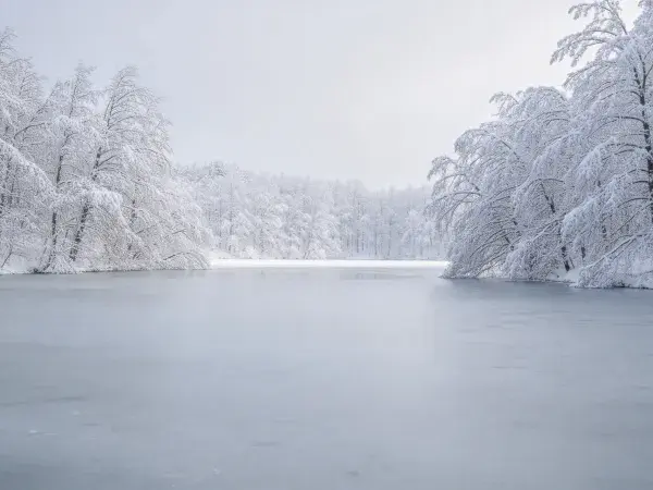 冬季雪覆森林冰湖景观