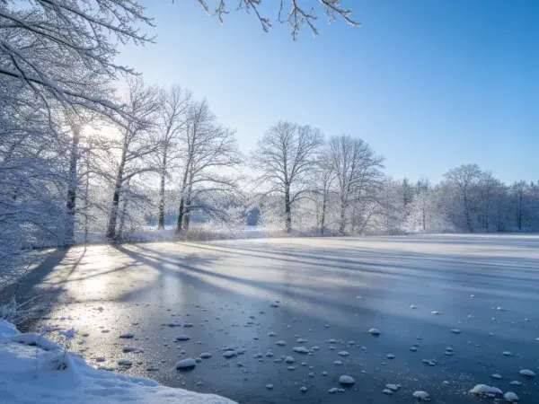 雪地森林冰湖冬日景观