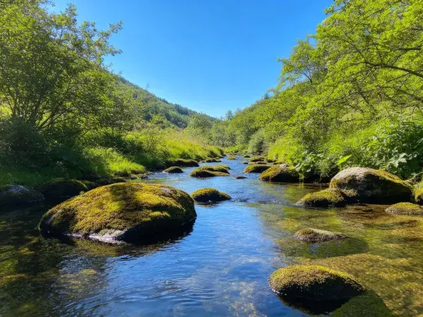 山间溪流上的光影时刻