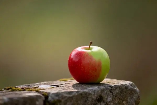 静置岩石上的红绿苹果瞬间