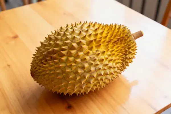 木质桌面上的成熟榴莲特写
