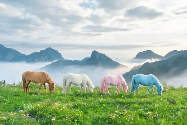 山地草原上的彩色马群场景