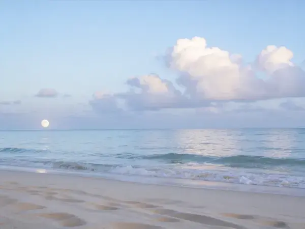 海滨风光下的月夜海滩景象