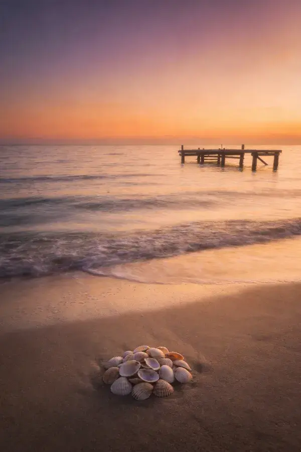 海滩海贝与木质码头黄昏景