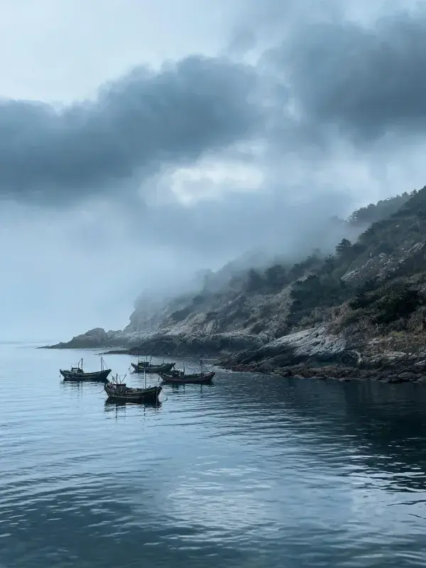 海岸岩石边的渔船群与雾气山林场景