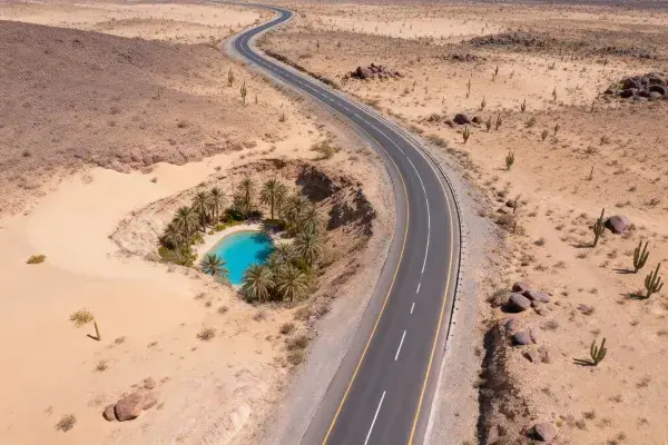 远方的沙漠绿洲与蜿蜒公路场景
