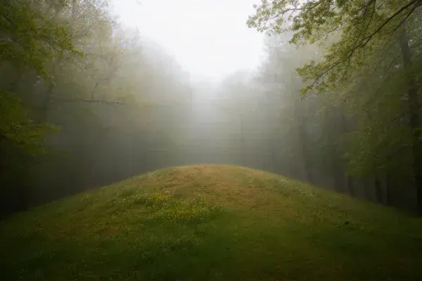 雾中森林内的古代土堆遗址场景