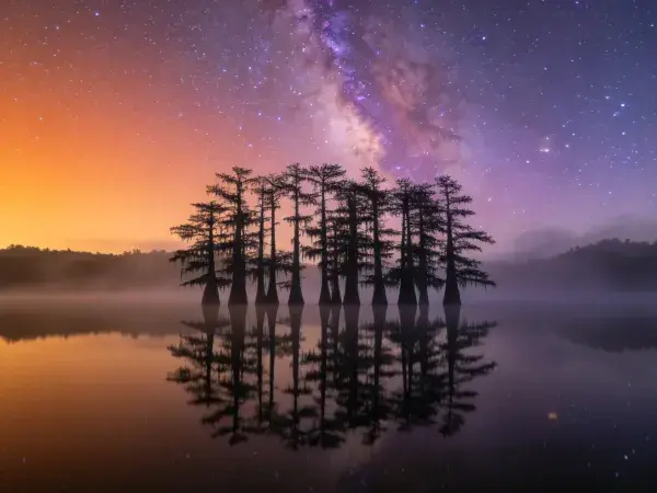 落羽杉湿地夜空倒影景象