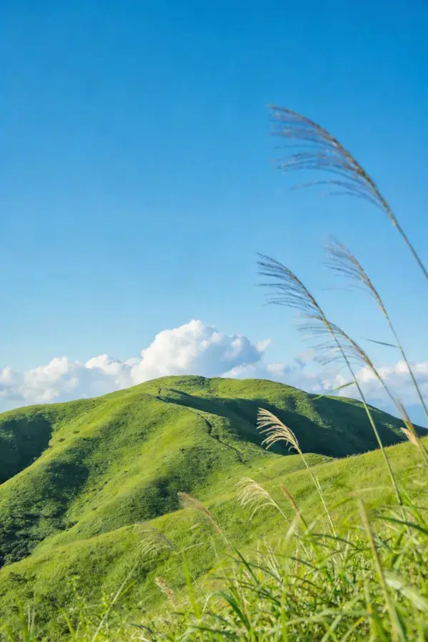 丘陵草原与蓝天白云景观
