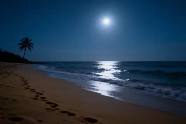 月光下的热带沙滩夜景细节