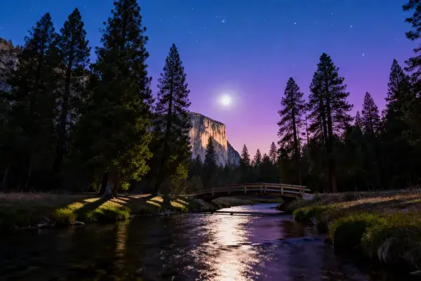 夜晚森林溪流与山崖景观