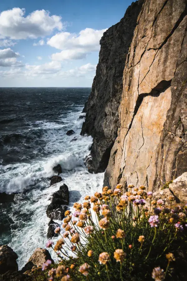 沿海岩石峭壁与浪花景观