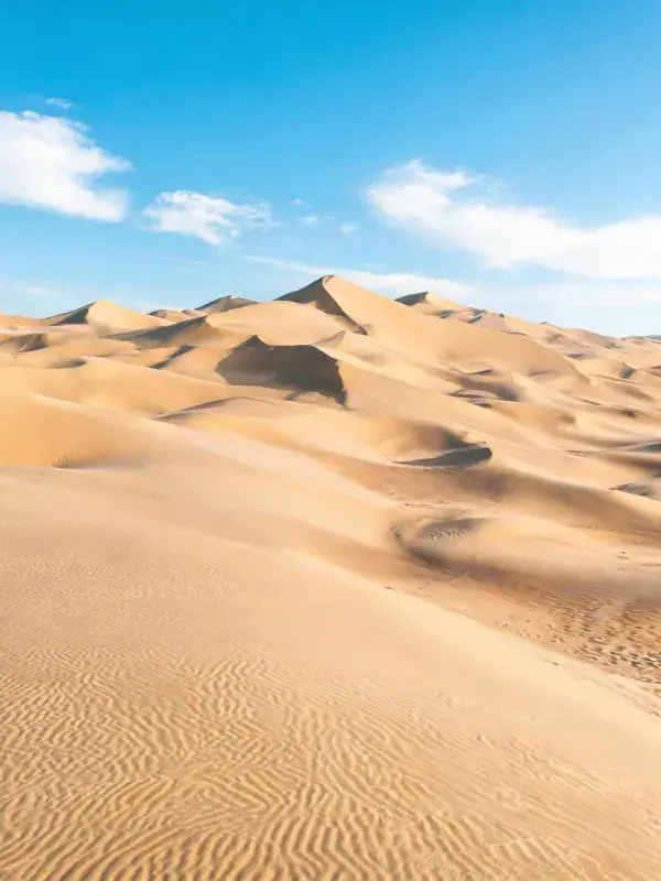 风蚀形成的沙漠沙丘景观
