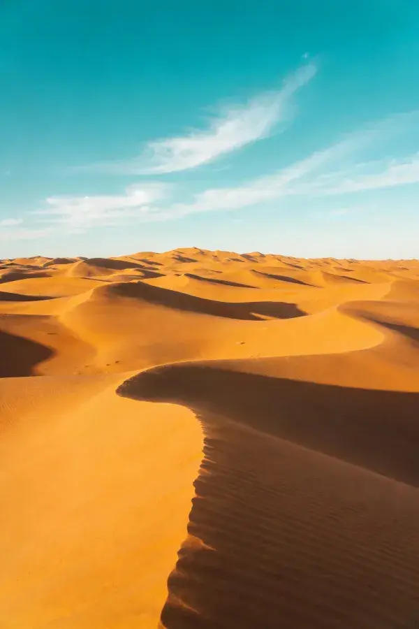 沙漠沙丘光影纹理特写场景