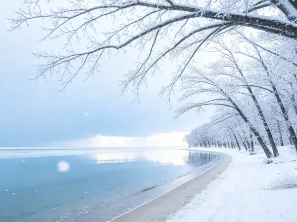 雪覆林木与冰湖海岸景象