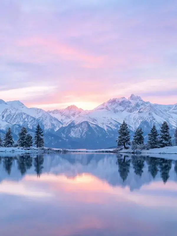 雪山雪湖松林晨景风光