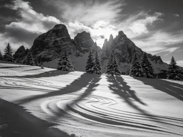 雪山风光下的雪地森林
