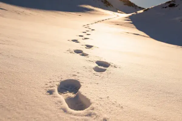 雪地脚印延伸的山坡场景