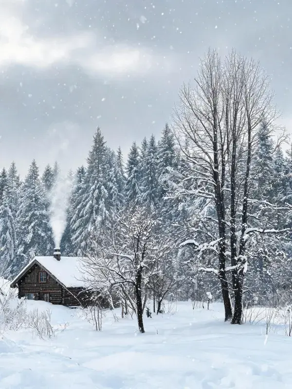 雪地森林中的原木小屋