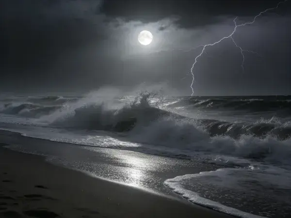 月夜风暴下的滨海浪涛景象