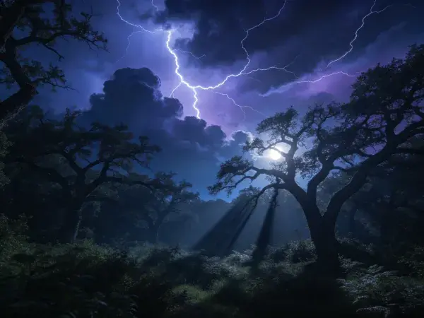 雷电闪烁下的森林夜空场景