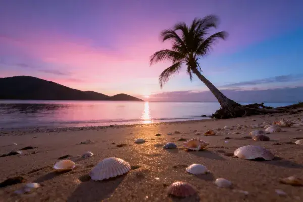 阳光下的海滩椰林与贝壳沙滩场景