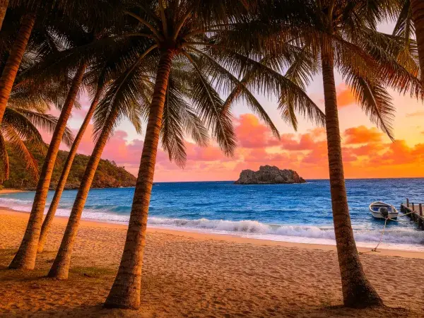 椰林环绕的热带海滩日落景观
