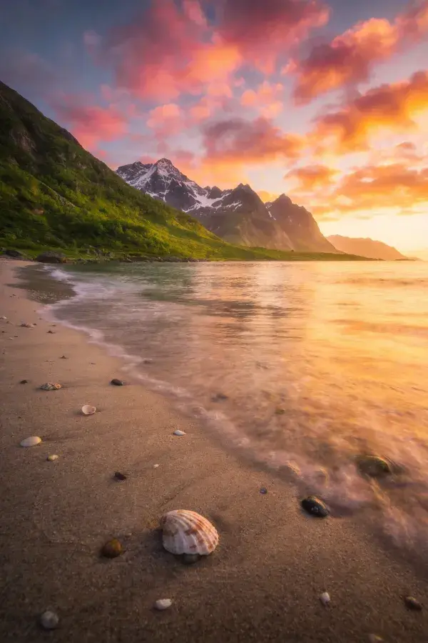 沿海山地沙滩风光的贝壳与海浪场景