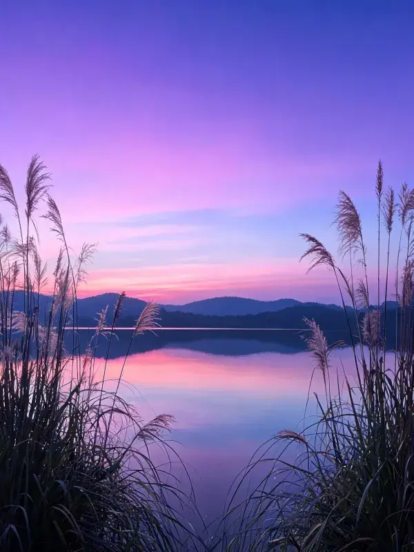 露天湖泊芦苇山水景观