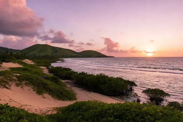 夕阳下的沿海沙丘湿地景观